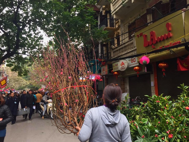 Hang Luoc Flower Market in Hanoi's Old Quarter - ảnh 4